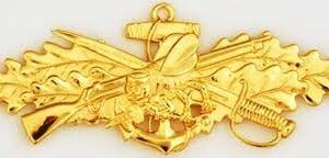 US Navy Officer Sea Bee Badge