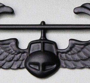 US Army Air Assault Badge Subdued