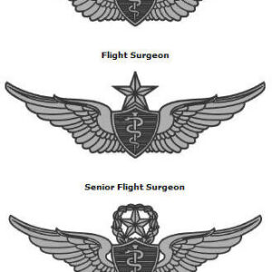 ARMY AIR FORCE MASTER FLIGHT SURGEON WINGS