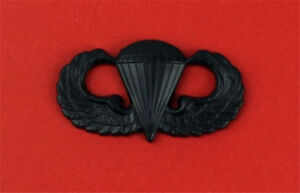 Parachutist Badge "JUMP WINGS" SUBDUED