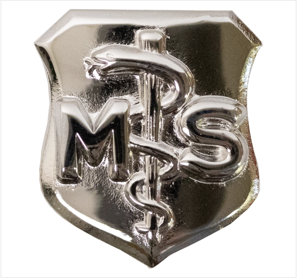 USAF Air Force Medical Service Badge
