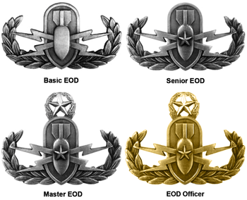 USAF EOD SENIOR BADGE