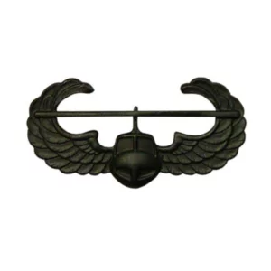 AIR ASSAULT BADGE SUBDUED