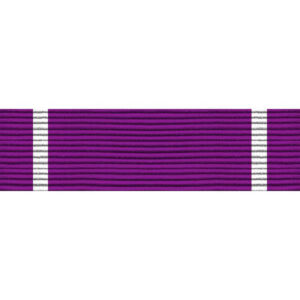 CIVIL AIR PATROL CURRY AWARD RIBBON