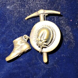 Alps Edelweiss blossom German hiking pin WW2 Era