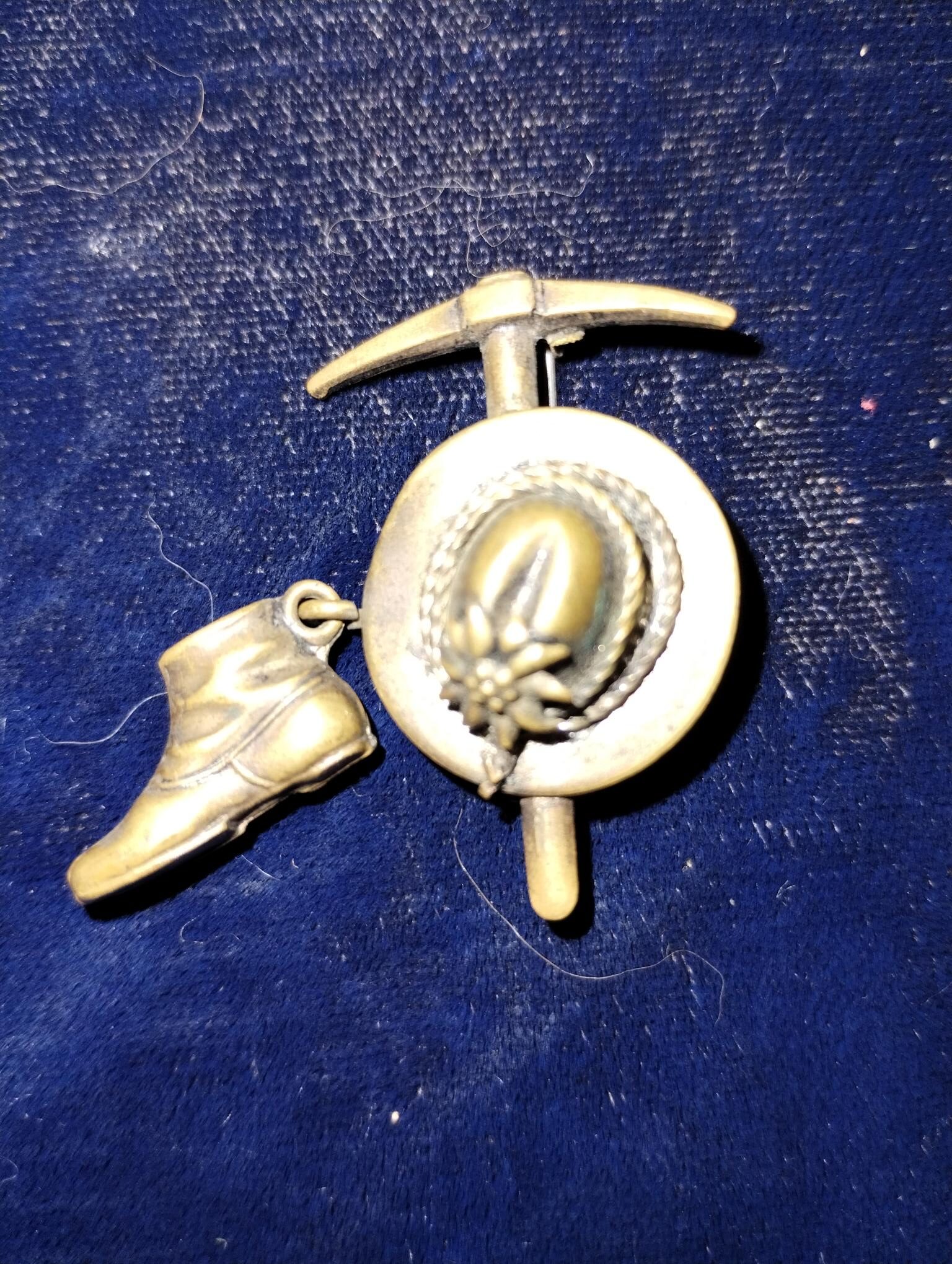 Alps Edelweiss blossom German hiking pin WW2 Era