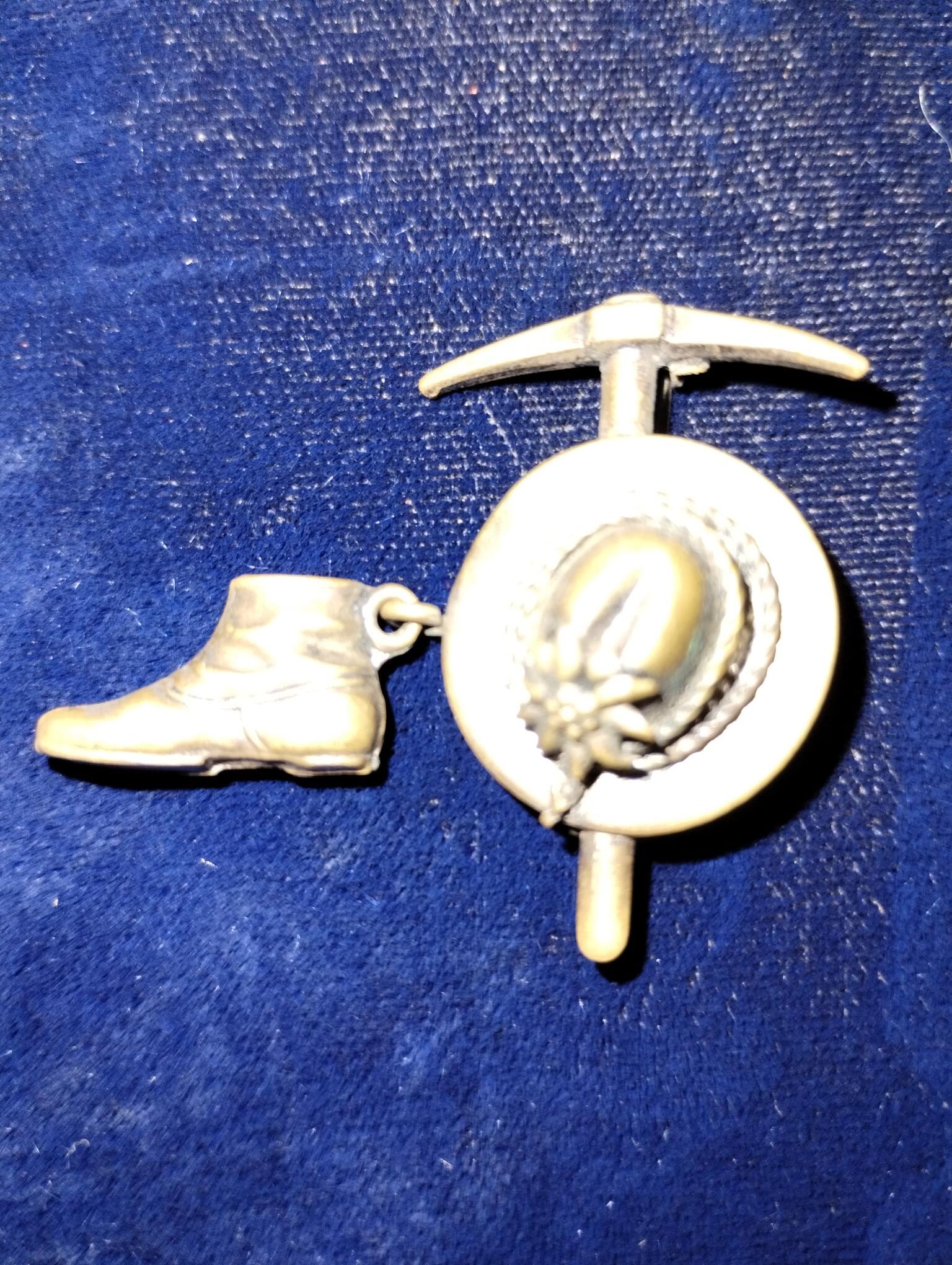 Alps Edelweiss blossom German hiking pin WW2 Era - Image 3