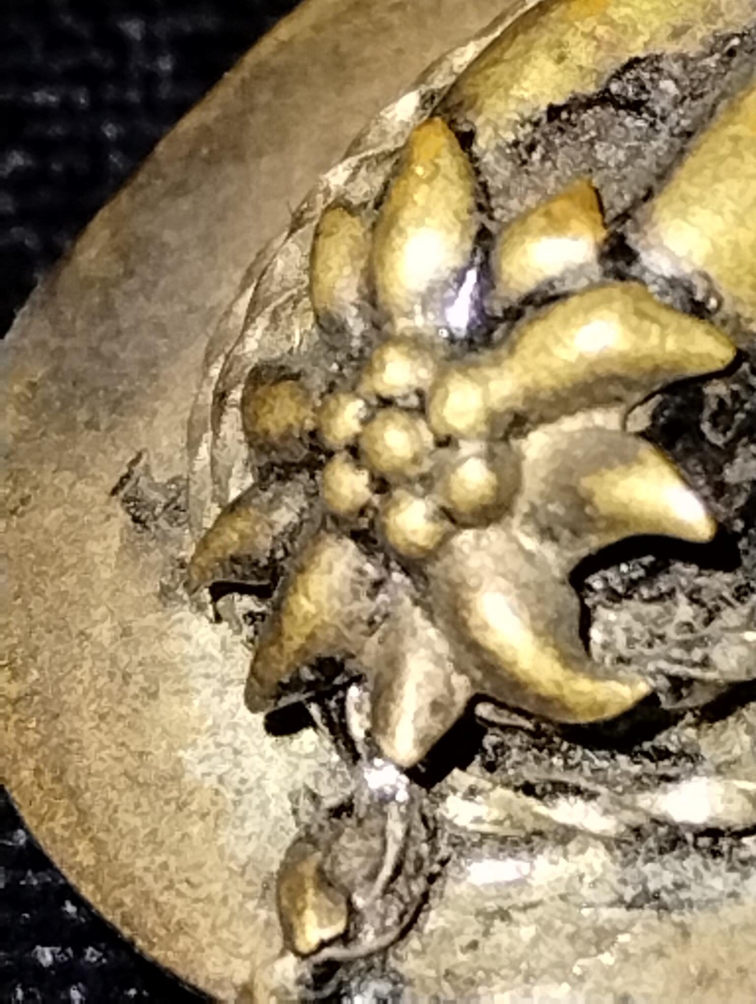 Alps Edelweiss blossom German hiking pin WW2 Era - Image 6