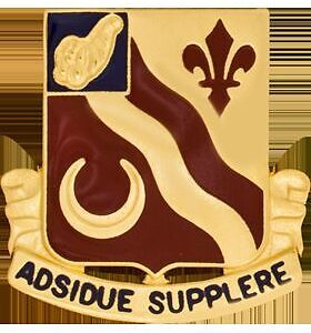 134th Support Battalion "ADSIDUE SUPPLERE" UNIT CREST