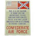 CONFEDERATE AIRFORCE PIN