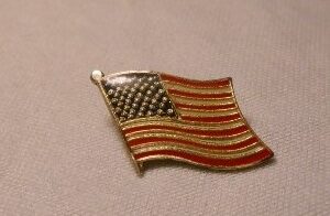 USA FLAG PIN