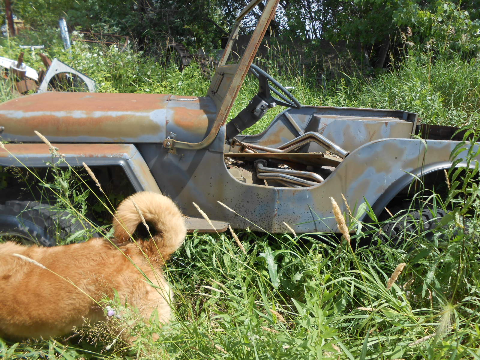 Willys CJ Project Jeep - Image 3