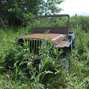 Willys CJ Project Jeep