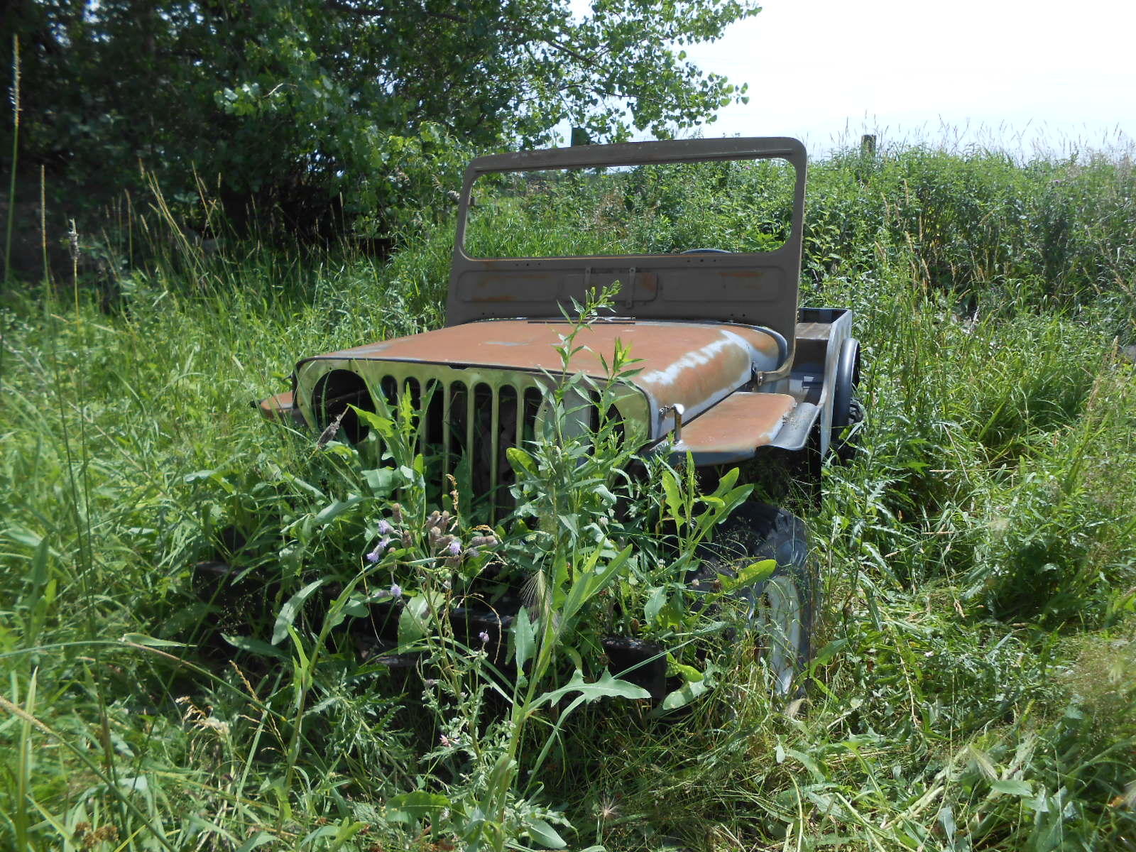Willys CJ Project Jeep