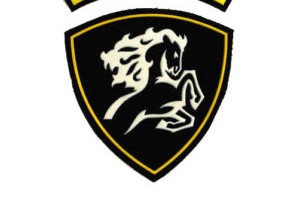 USSR Russian Military MVD Spetsnaz Horse Patch Soviet Union